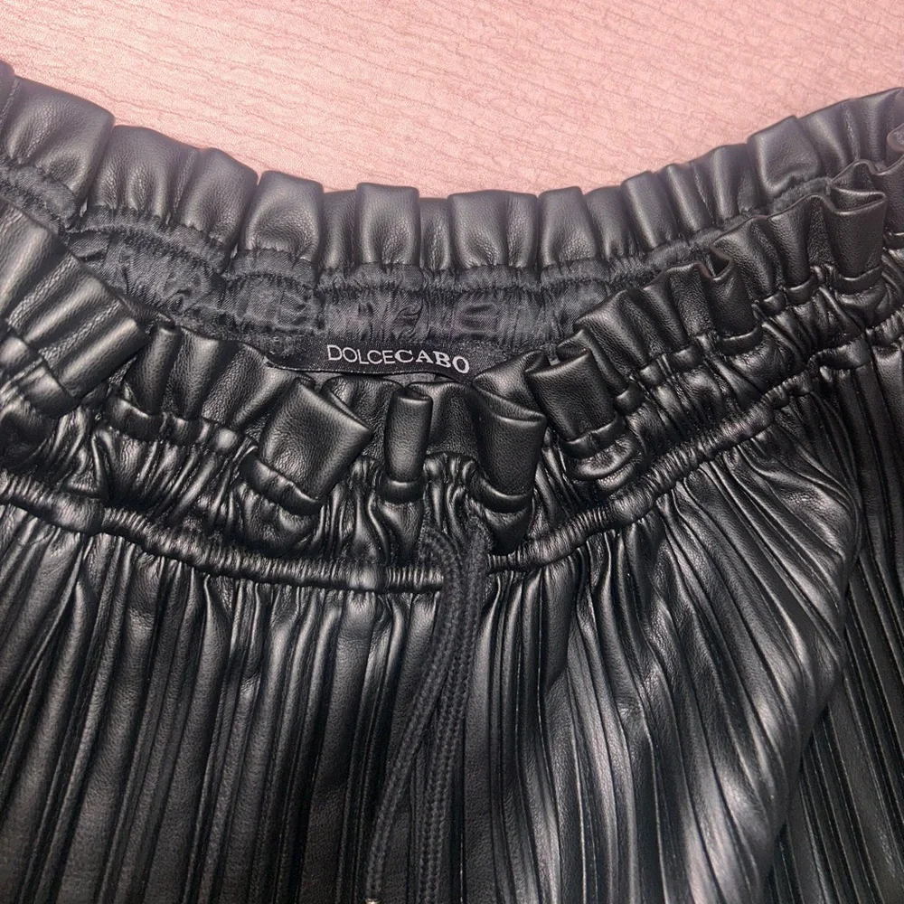 NWT Dolce Cabo Black Pleated Faux Leather Skirt